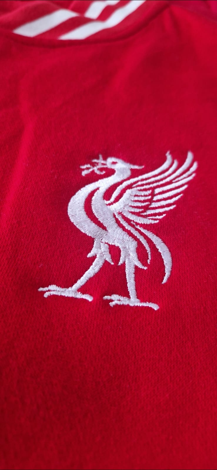 Liverpool Red Polo